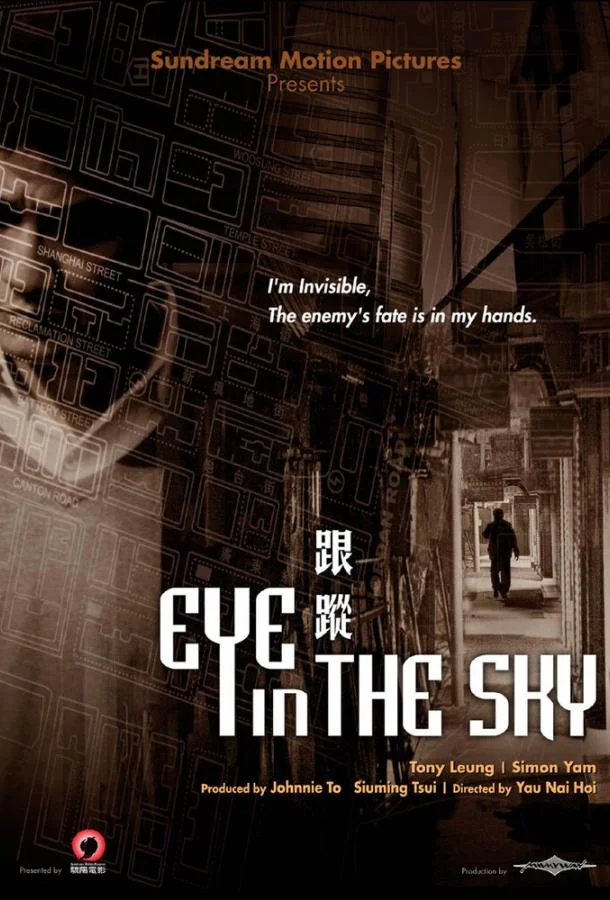 Постер к Око небесное (2007)