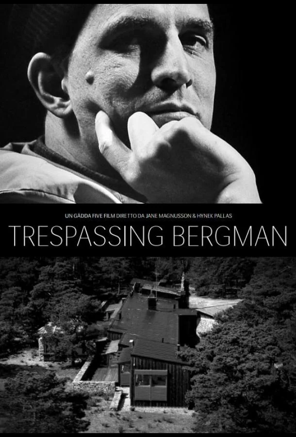 Постер к Вторжение к Бергману (2013)